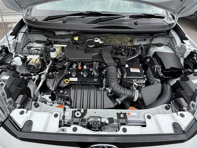 ライズハイブリッド 1.2 Z