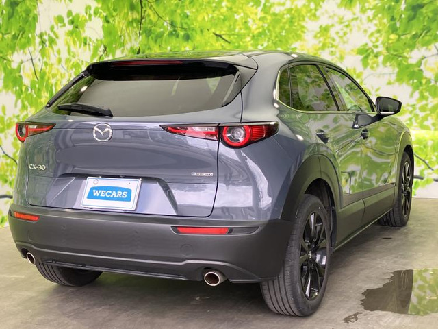 CX-302.0 20S ブラックトーンエディション