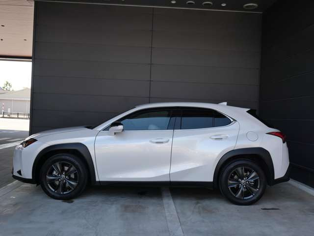 UX250h 4WD