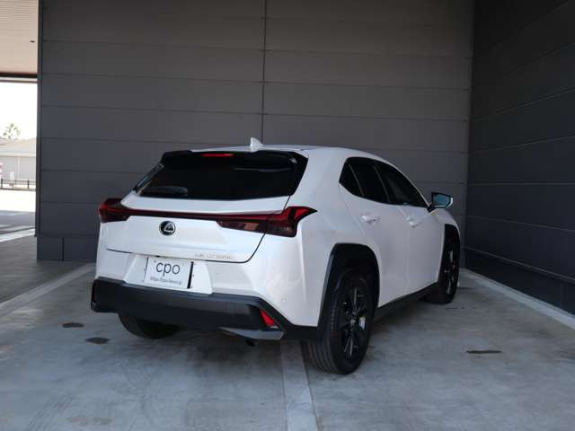UX250h 4WD