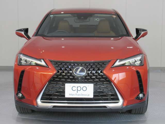UX250h バージョンL 4WD