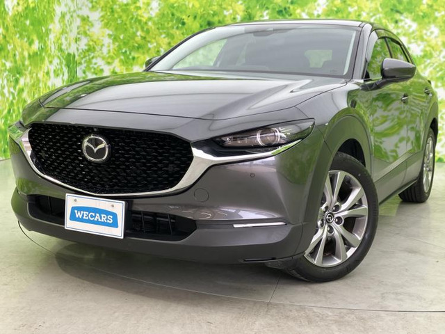 CX-301.8 XD Lパッケージ 4WD