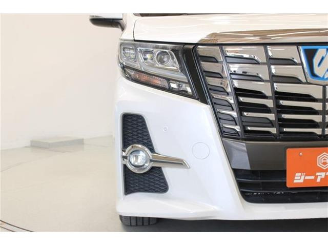 �ቿ�i�ŗǎ��Ȃ��Ԃ�S�Б���3,000�݌ɂ��炨�I�т��������܂��B�c�Ǝ��� 10:00�`19:00