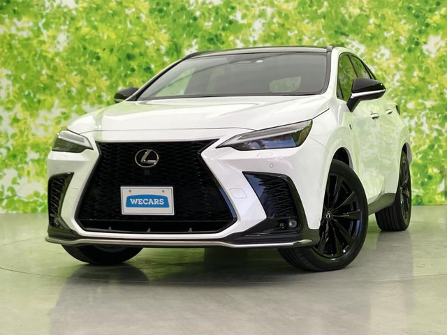 NX350h Fスポーツ