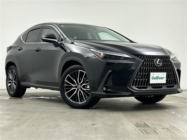 NX350h バージョンL