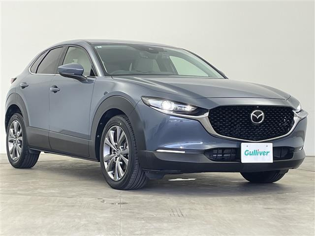 CX-302.0 X プロアクティブ ツーリングセレクション