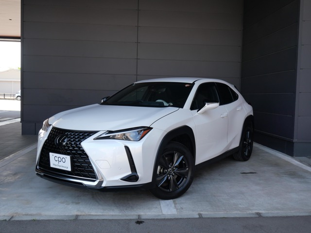 UX250h 4WD