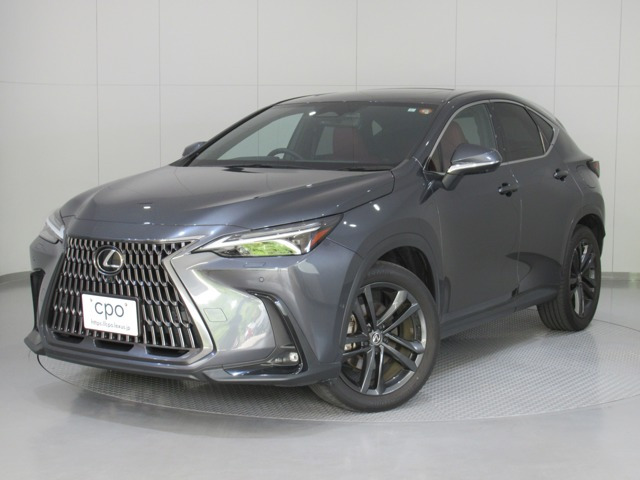 NX350h バージョンL