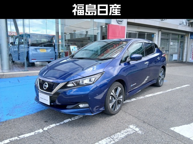 リーフe+ G