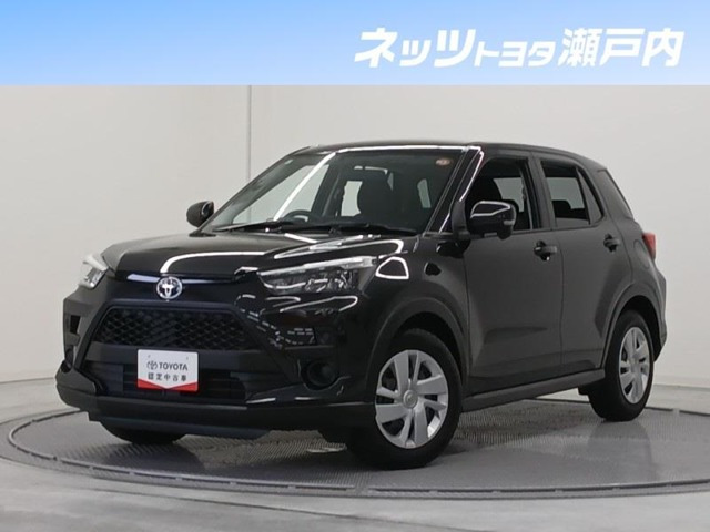 ライズ1.0 X