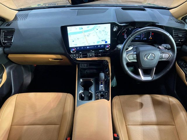NX250