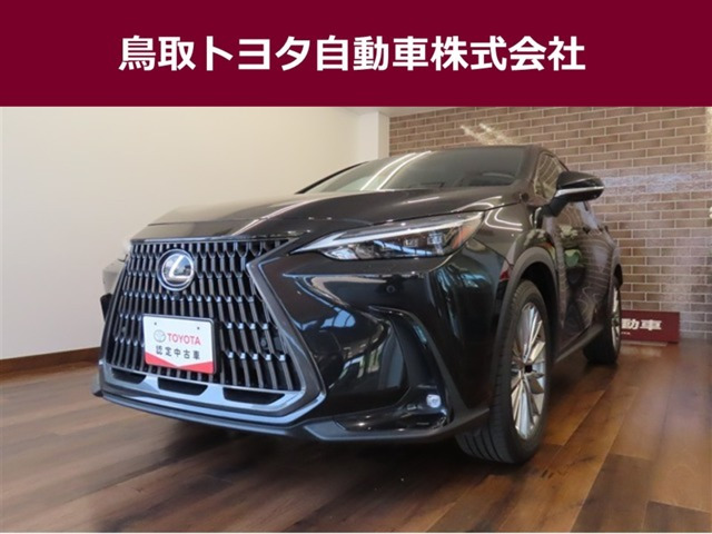 NX250 バージョンL 4WD