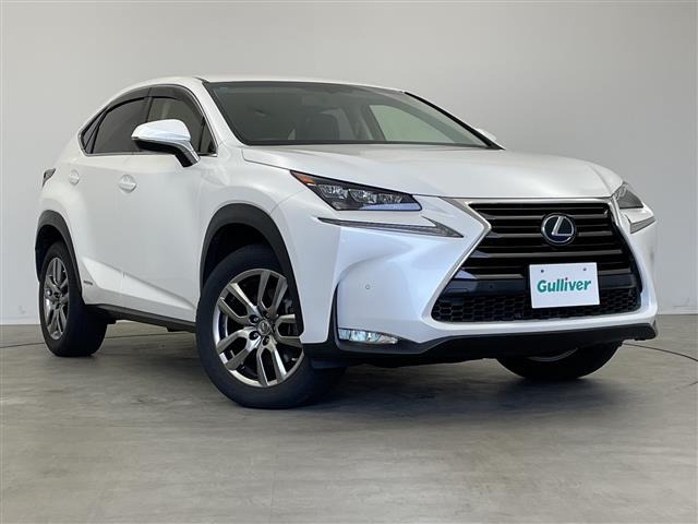 NX300h バージョンL