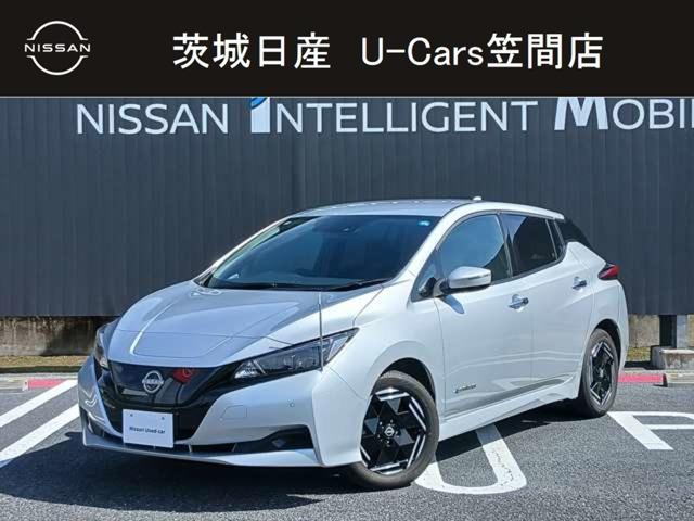 リーフX