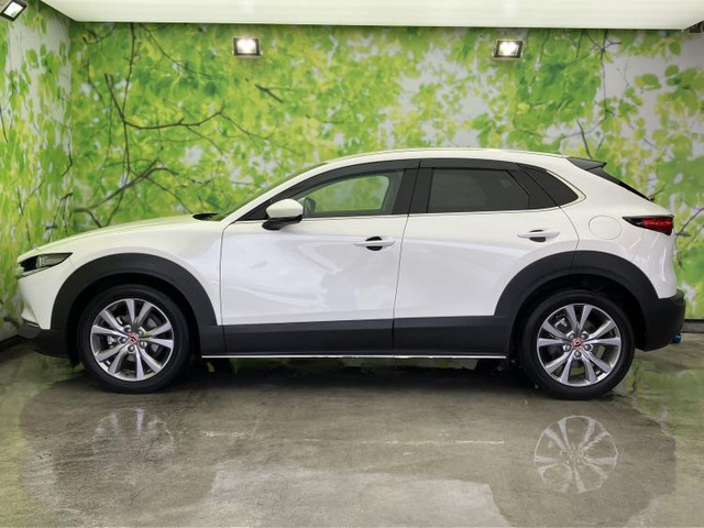 CX-301.8 XD Lパッケージ