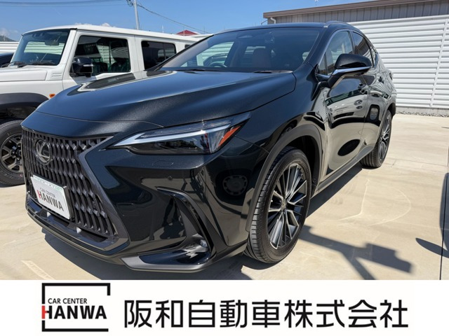 NX250 バージョンL