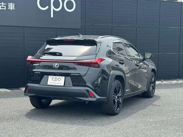 UX250h