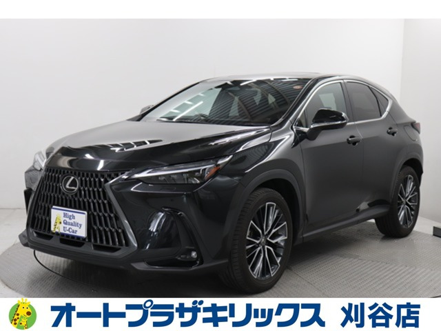 NX250 バージョンL