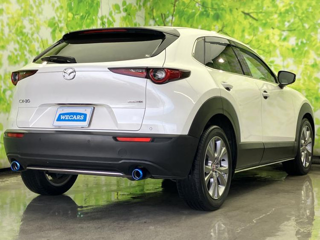 CX-301.8 XD Lパッケージ
