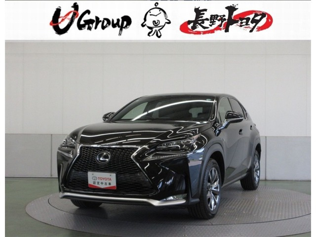NX200t Fスポーツ
