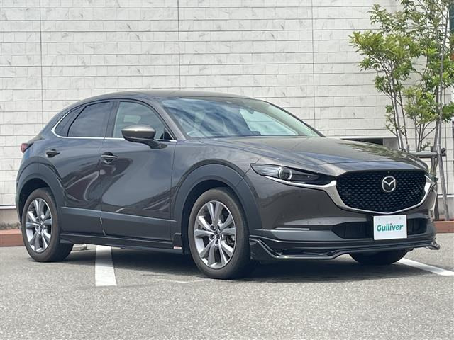 CX-301.8 XD Lパッケージ