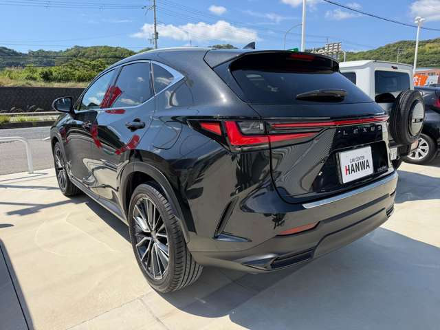 NX250 バージョンL