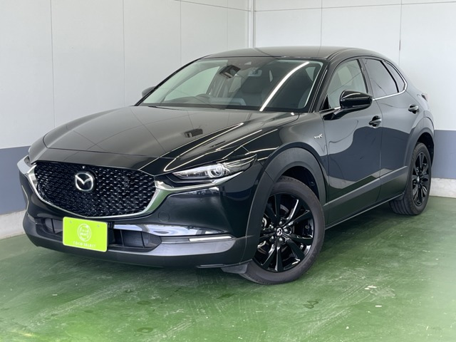 CX-30