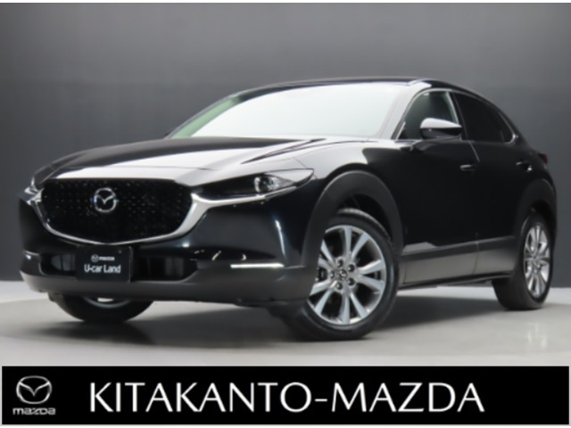CX-302.0 20S Sパッケージ