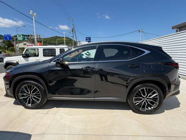 NX250 バージョンL