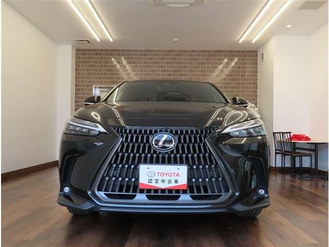 NX250 バージョンL 4WD