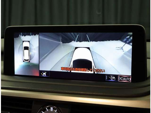 RX300 Fスポーツ