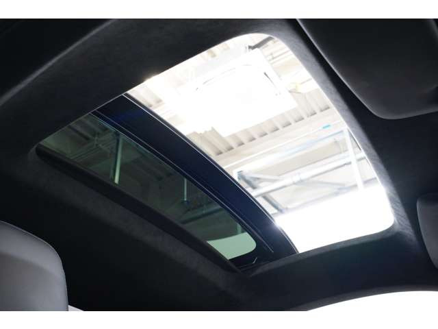 �I�v�V�����̓d���T�����[�t���t���Ă���܂��B991�őI������Ă���̂͒������A�J���I�Ńh���C�r���O�𖡂���Ă��������܂��B