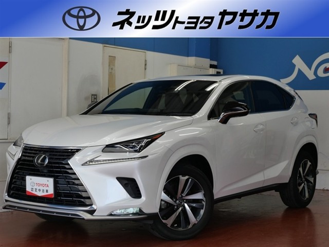 NX300