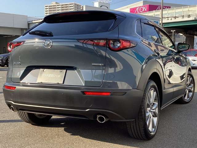 CX-301.8 XD Lパッケージ