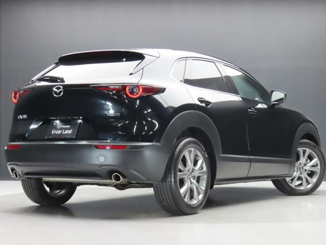 CX-302.0 20S Sパッケージ