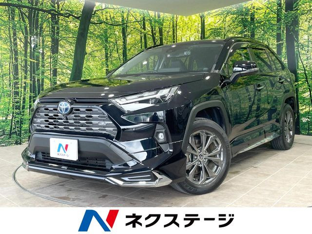 RAV42.5 ハイブリッド G E-Four 4WD