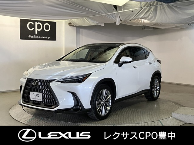 NX250 バージョンL