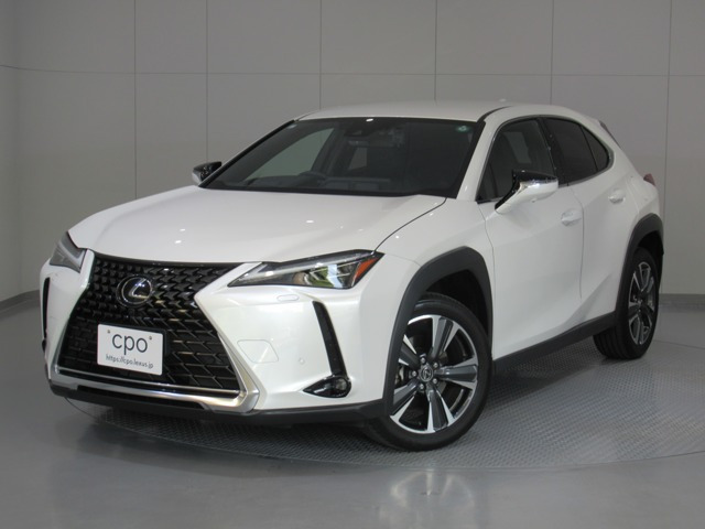 UX250h バージョンL