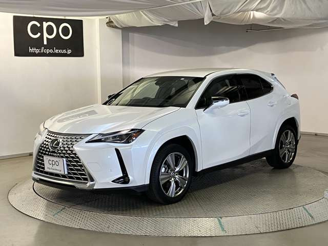 UX250h グレイスフル エクスプローラー