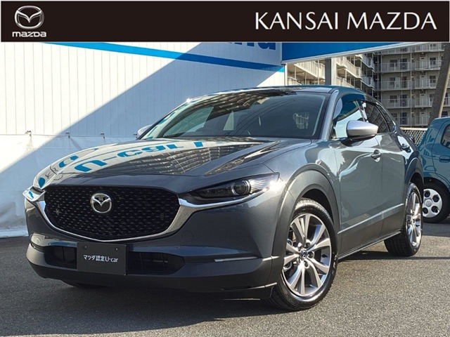 CX-301.8 XD Lパッケージ