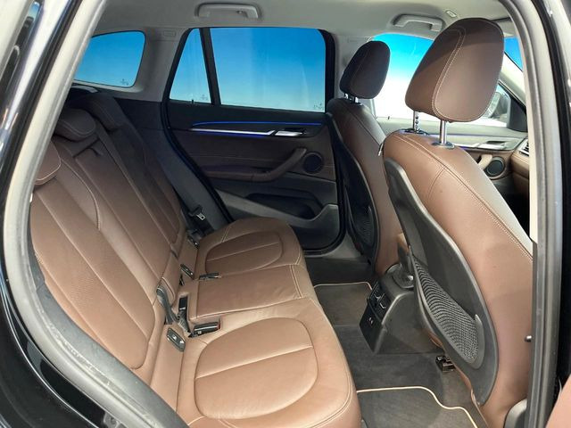 ���㕔���Ȃ��C�ɂȂ�悤�ȃL�Y�E�����ւ��蓙�A�傫�ȃ_���[�W�͂Ȃ��A�ǍD�ȏ�Ԃł��B