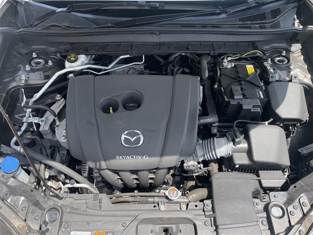 CX-301.8 XD Lパッケージ
