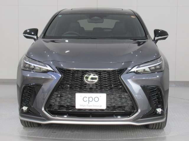 NX450hプラス Fスポーツ 4WD
