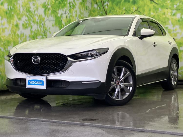 CX-301.8 XD Lパッケージ