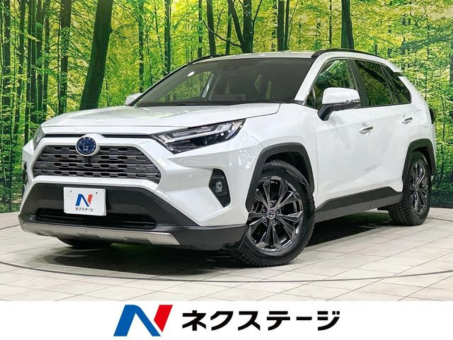 RAV42.5 ハイブリッド G E-Four 4WD