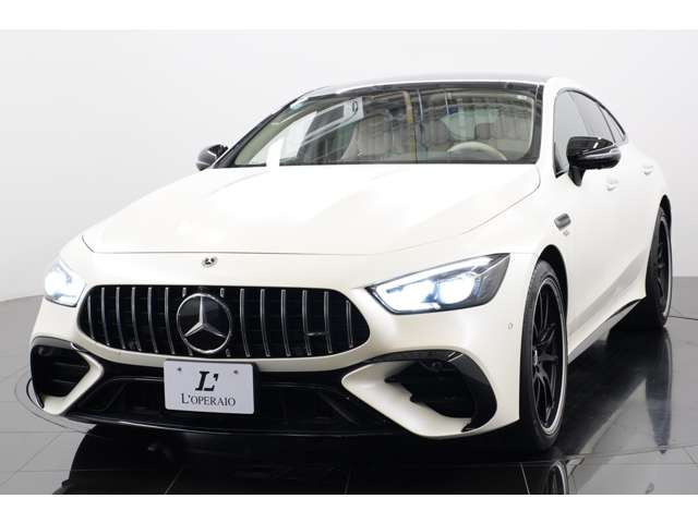 -AMG�p�t�H�[�}���X�V�[�g -AMG�p�t�H�[�}���X�X�e�A�����O(�i�b�p���U�[/MICROCUT)���t�����U�[�d�l�I�v�V���������O�d�l