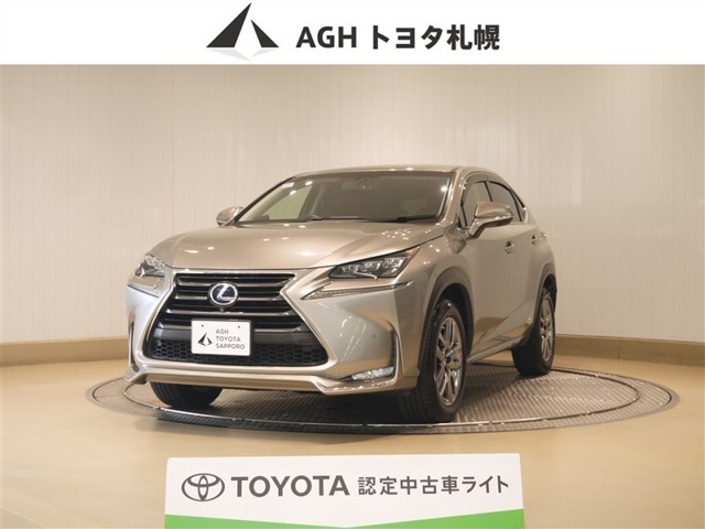 NX300h Iパッケージ 4WD
