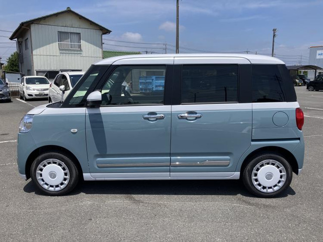 ムーヴキャンバスストライプス G