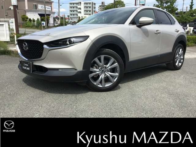 CX-301.8 XD Lパッケージ