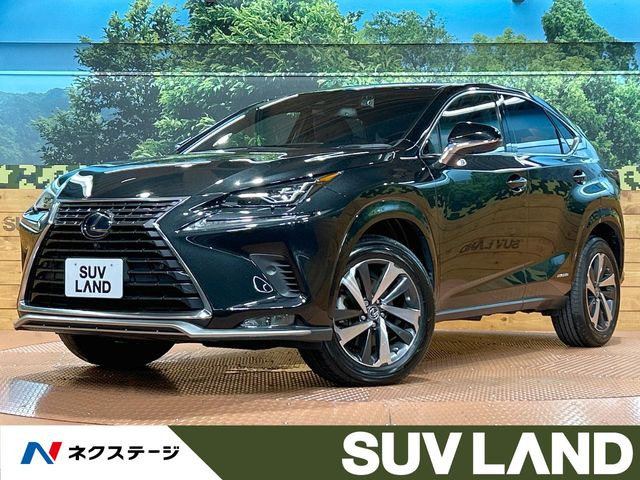 NX300h スパイス&シック